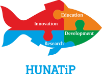 hunatip angol háttér nélkül